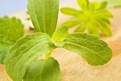 Stevia gets clearance for use in India