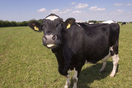 Coles, Murray Goulburn launch Farmers' Fund milk