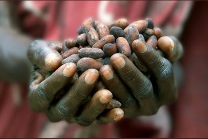 How do food companies ensure cocoa supply meets future demand - sustainably?