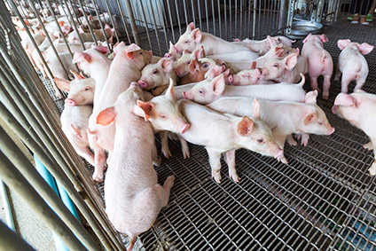 Pork price lawsuit 'dismissed by US court'