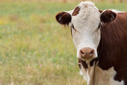 How meat and dairy are countering criticism on climate