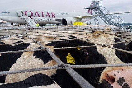 Qatari dairy firm Baladna 'planning public share offering'