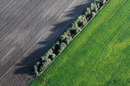 Lithuanian organic food group Auga to launch green bonds