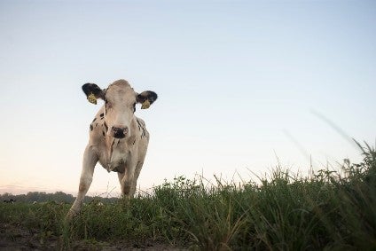 US dairy - a need for a major re-think