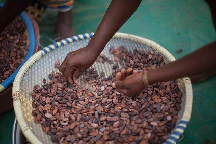 Fairtrade International to raise minimum price paid to cocoa farmers