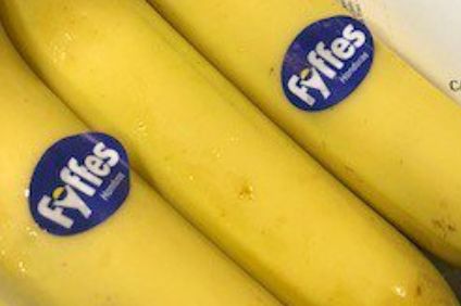 Fyffes kicked out of Ethical Trading Initiative