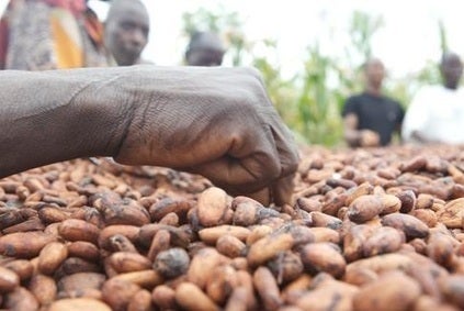 AFRICA: Industry in new cocoa sustainability pledge