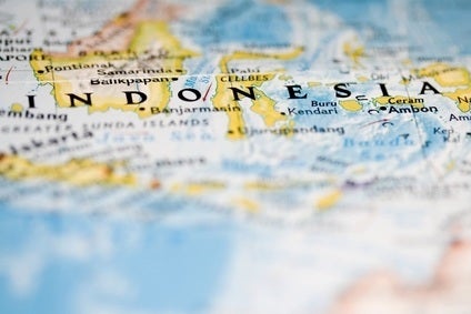 Indonesia - The sweet and sour of the confectionery market