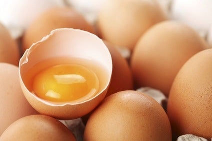 US egg supplier Rembrandt Foods outlines cage-free plans