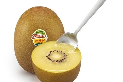 INDIA: Zespri launches SunGold kiwifruit in Indian market