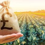 Carbon emissions and fiscal measures – a taxing problem for UK food