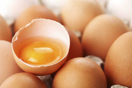 Eggs pulled from sale in Dutch fipronil scare