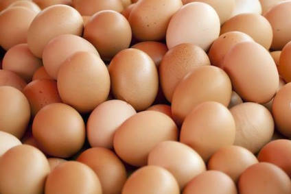 Fipronil - EU ministers to meet to discuss egg crisis