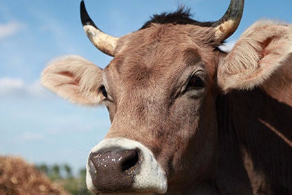 US completes import risk assessment on Paraguay beef