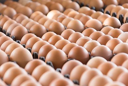 Contaminated eggs discovered in 40 countries as EU ministers prepare to meet