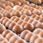 Tainted eggs scare reaches Italy