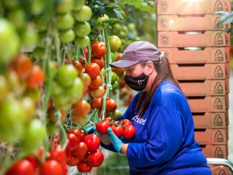 UK extends seasonal workers scheme but only for crop-pickers