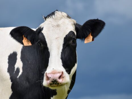 How dairy is wrestling with climate impact