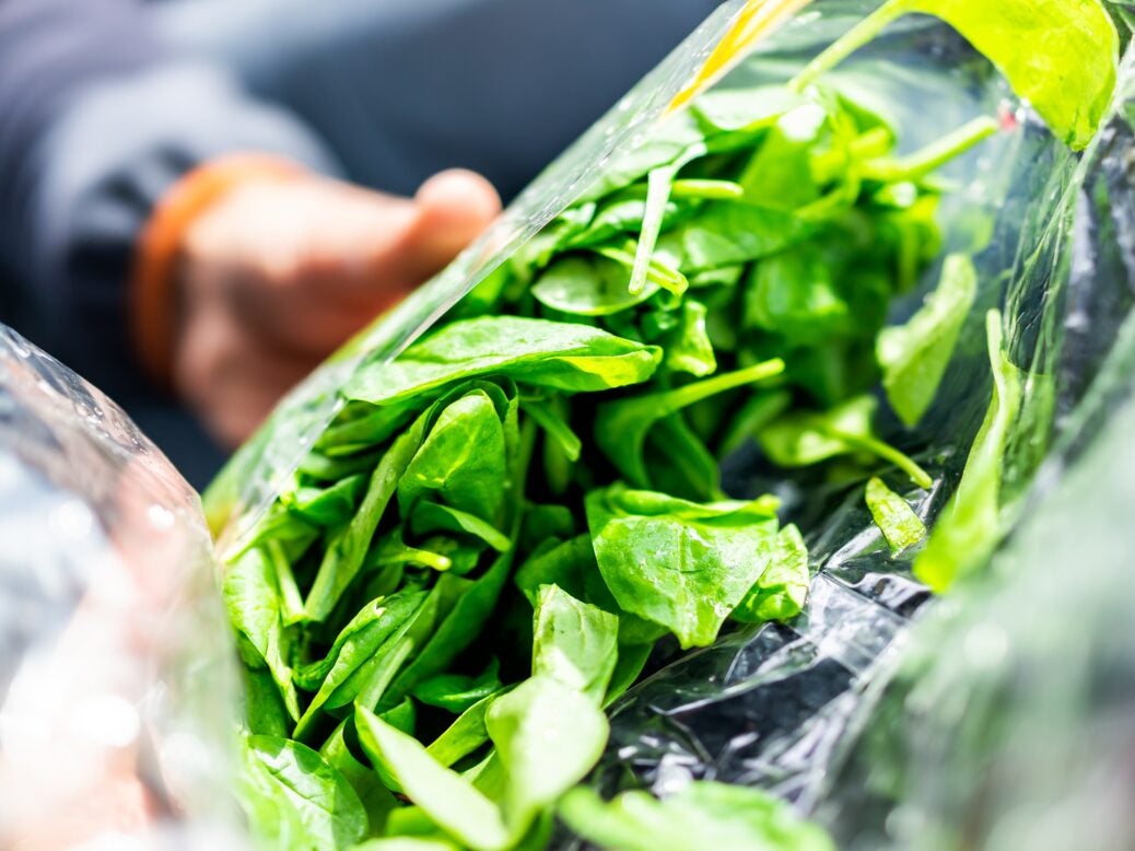 Close-up of person holding bagged spinach