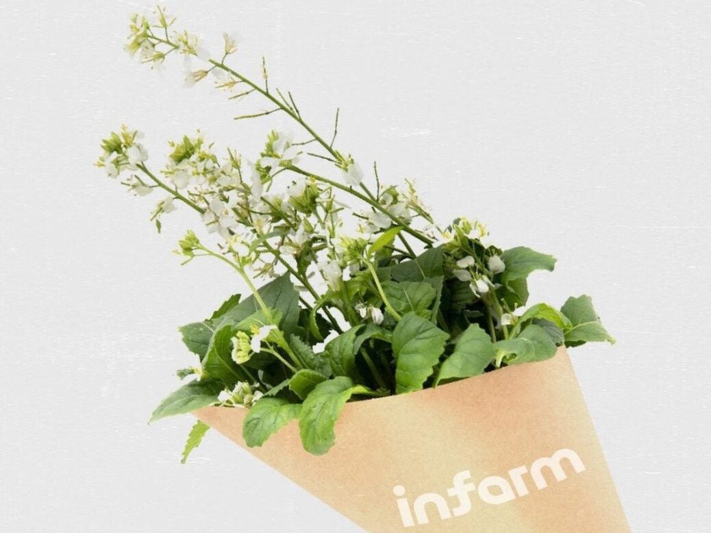 Infarm herbs