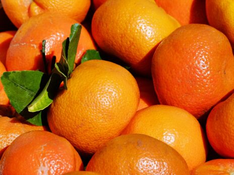 Spain fruit groups Llusar, Naranjas Torres to merge