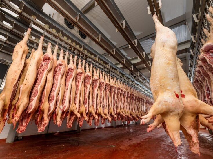 Germany’s Tönnies joins job cuts at European pig processors