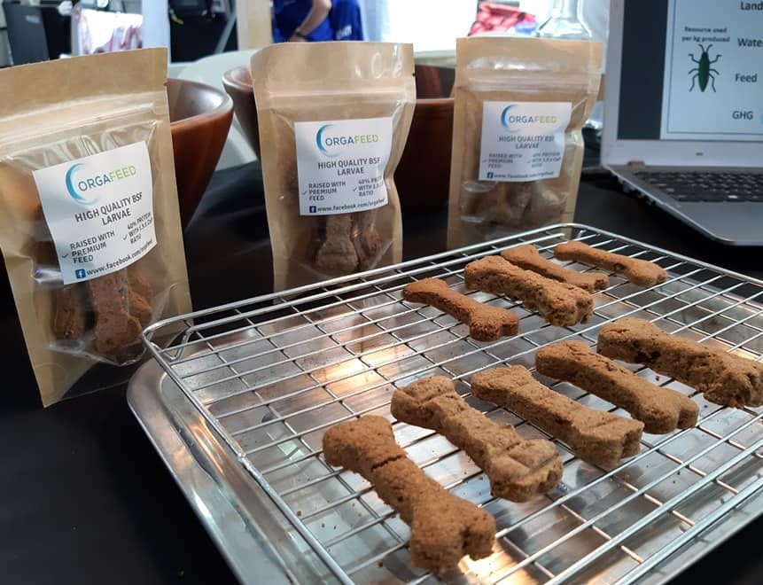 Thai Union invests in insect protein pet-food business Orgafeed