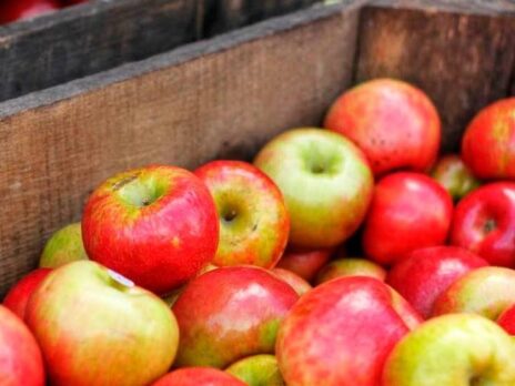 Belgium fruit-and-veg group Greenyard sets out growth agenda
