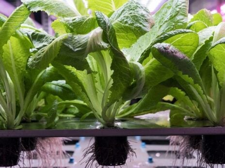 Vertical Future lays claim to largest Series A in European indoor farming