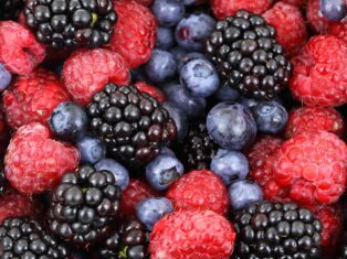 Continental Grain backs South American berries supplier Agroberries