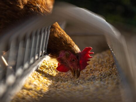 Tyson Foods says bird-flu outbreak will not affect production levels
