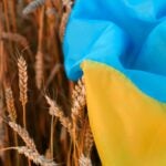 Ukraine: how short-term crises eclipse long-term climate risks