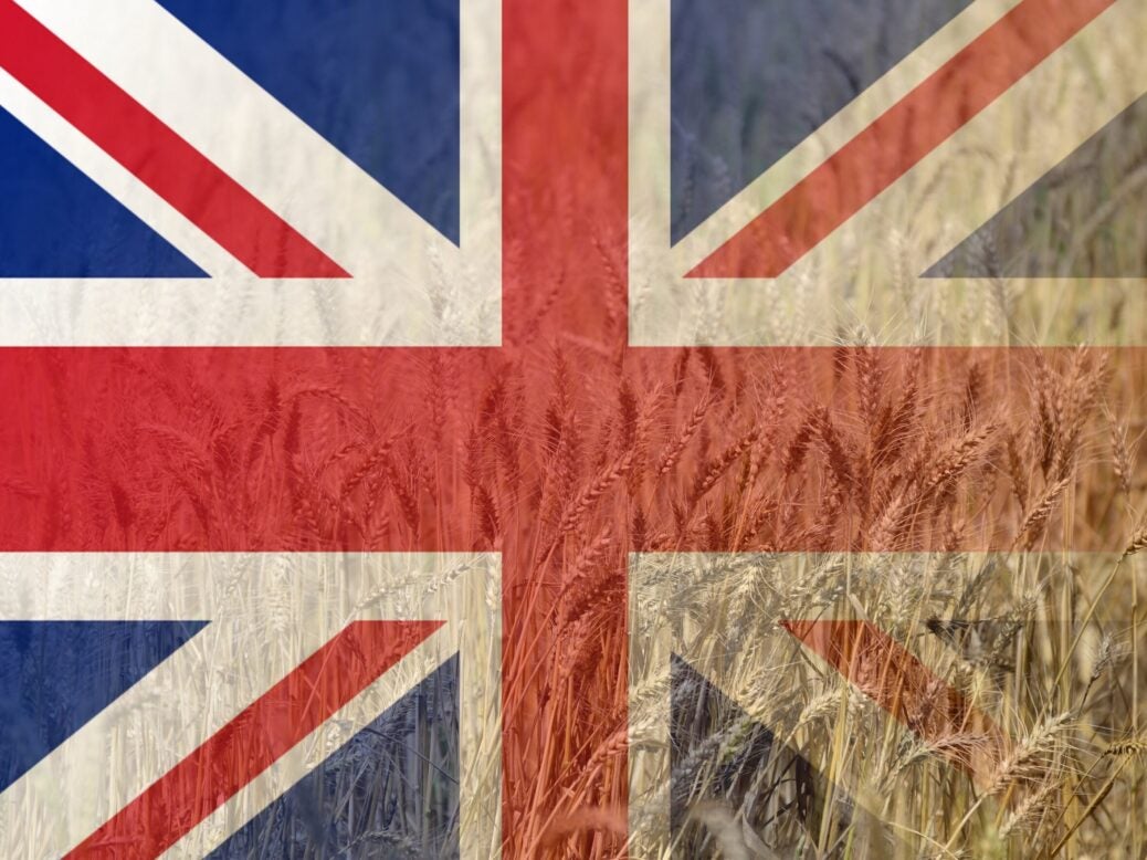 Preparing for future shocks: supply-chain disruption and food security in the UK