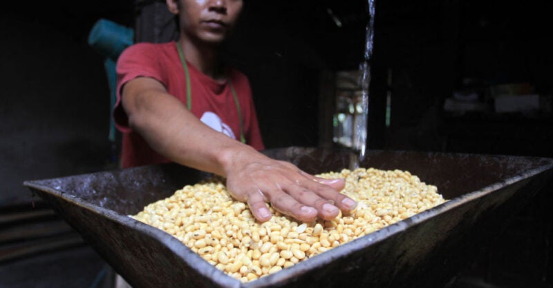Is soybean production sustainable? - Vimarsana News