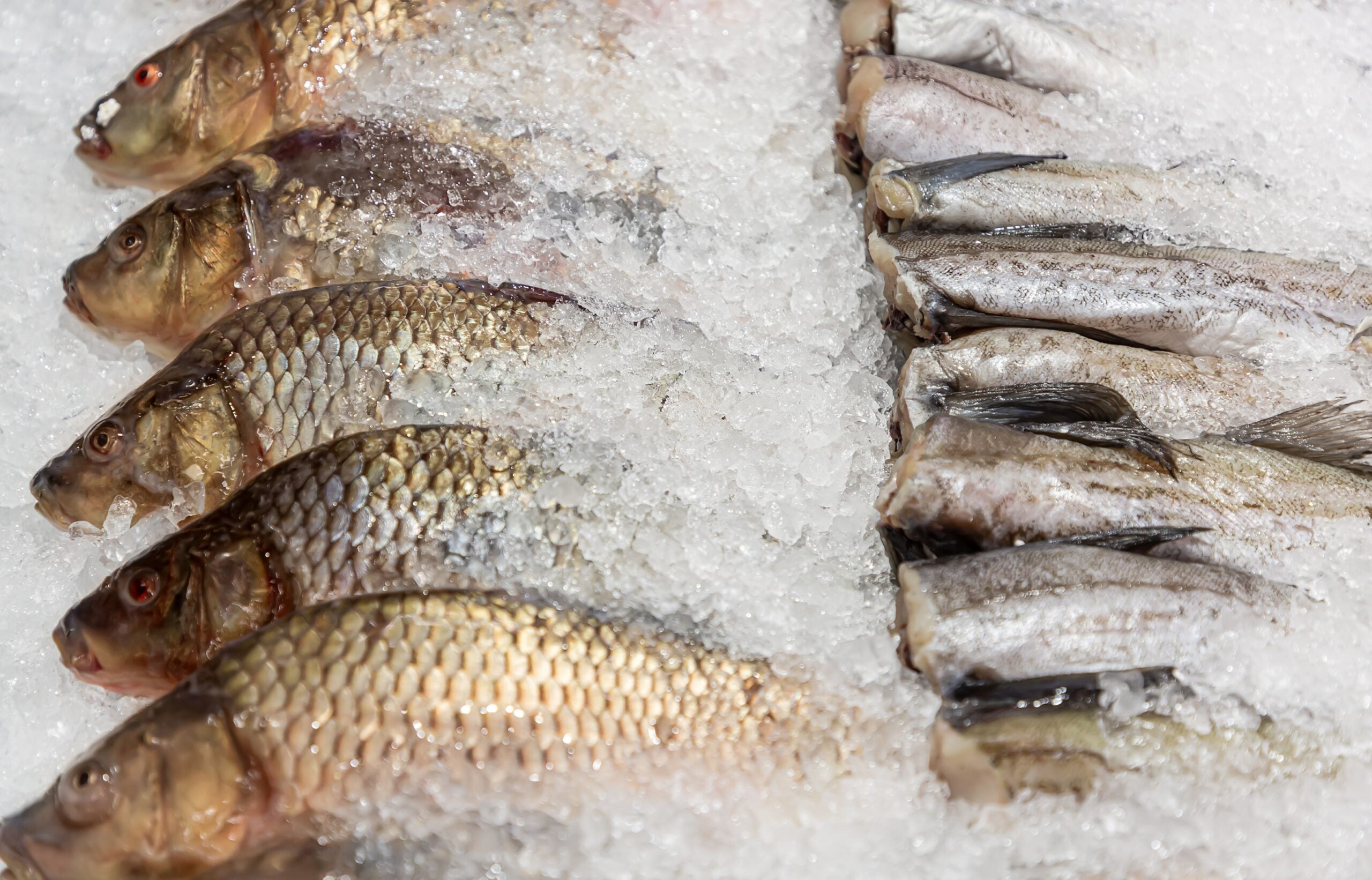 UK’s Thistle Seafoods buys Dawnfresh Seafoods asset out of administration