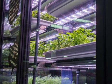 “Mega challenges” uproot vertical-farming push from niche to mainstream – Infarm CEO Erez Galonska