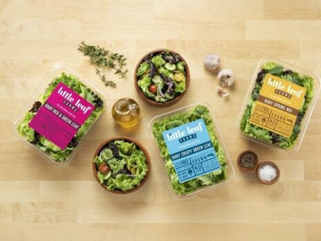 US indoor salad grower Little Leaf Farms raises $300m in funding round