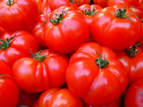 Italy's Casalasco takes majority stake in tomato peer Emiliana Conserve