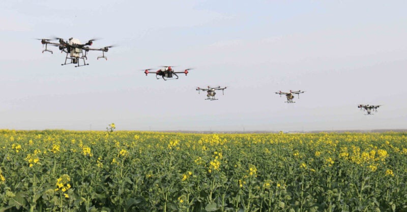 Agritech investment peaked in 2021 but set to drop - Vimarsana News