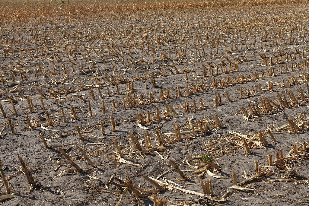 Fake Dirt Photos and Premium High Res Pictures - Getty Images