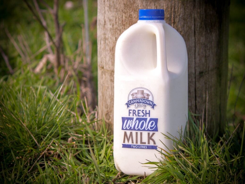 Camperdown Dairy fresh milk
