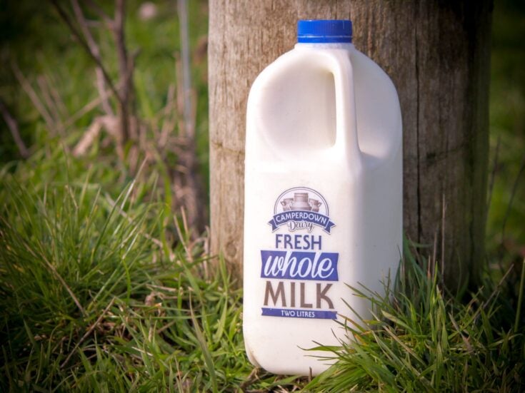 Australian Dairy Nutritionals reboot sees Camperdown milk production end