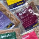 D2C fresh cat food start-up KatKin wins new private-equity financing