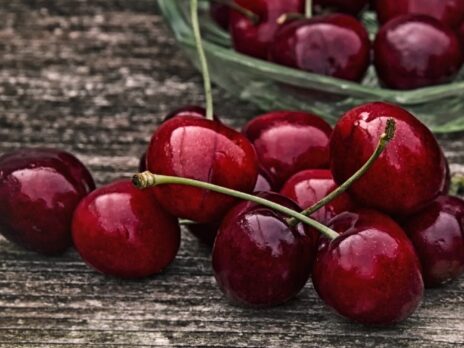 Chilean cherries supplier Prize to go public via SPAC deal
