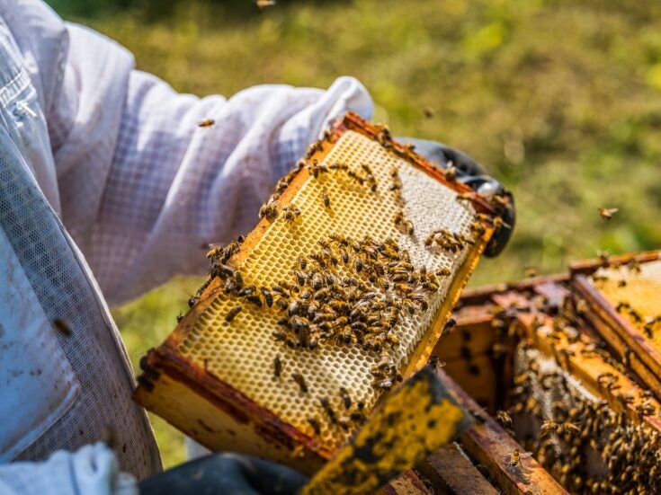 The British Honey Co. puts itself up for sale