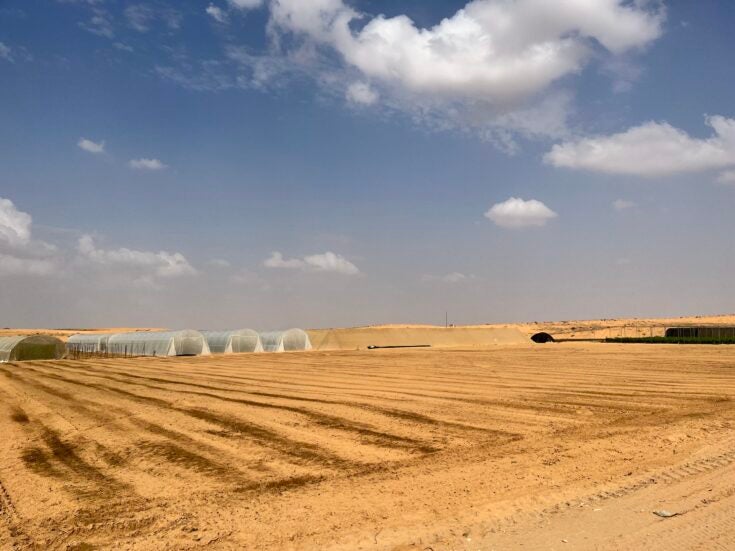 Photo of Adaptation lessons from Israel’s Negev Desert: a source of climate hope