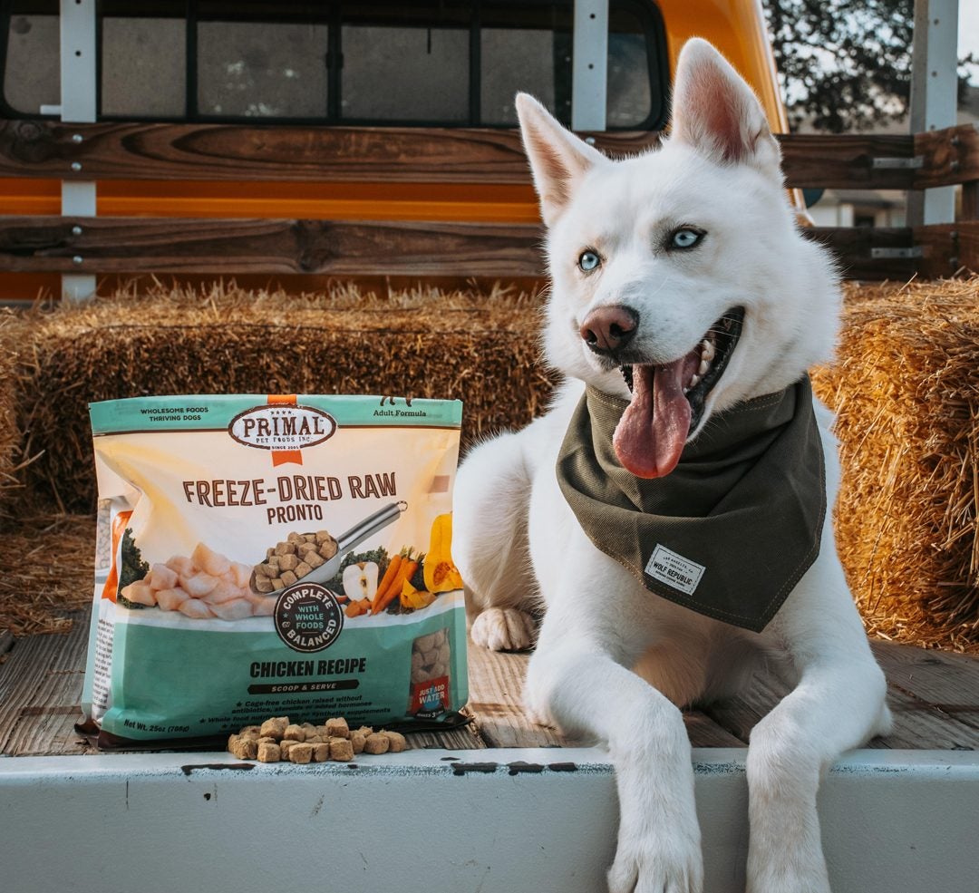 is primal dog food good for puppies