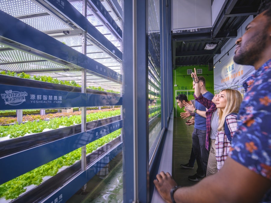 YesHealth Group's visitor experience farm in Taoyuan, Taiwan 
