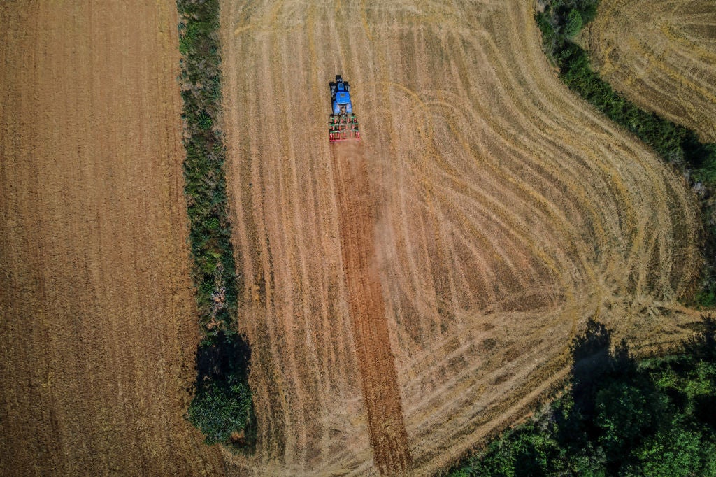 Surviving the wet season: Five strategies to protect crops from