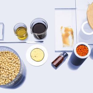 Anton Paar food testing workshop